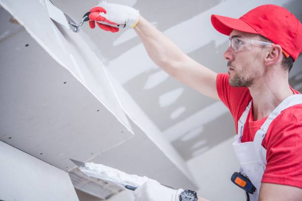 Best Ceiling Drywall Installation  in New Paris, IN